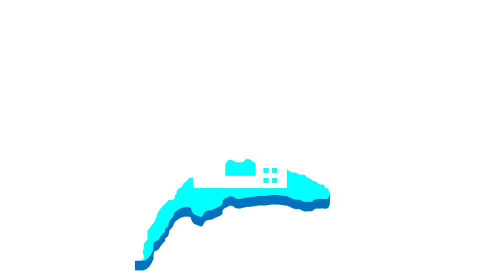 Leman paratonnerres logo blanc